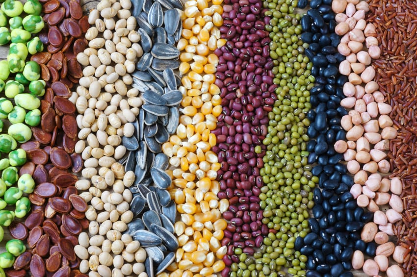 Millions risking nutritional deficiencies as CO2 levels rise