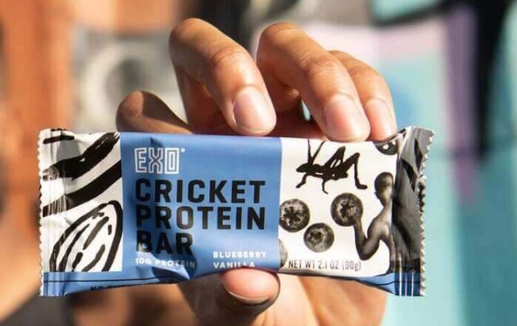Exo-protein-bar.jpg