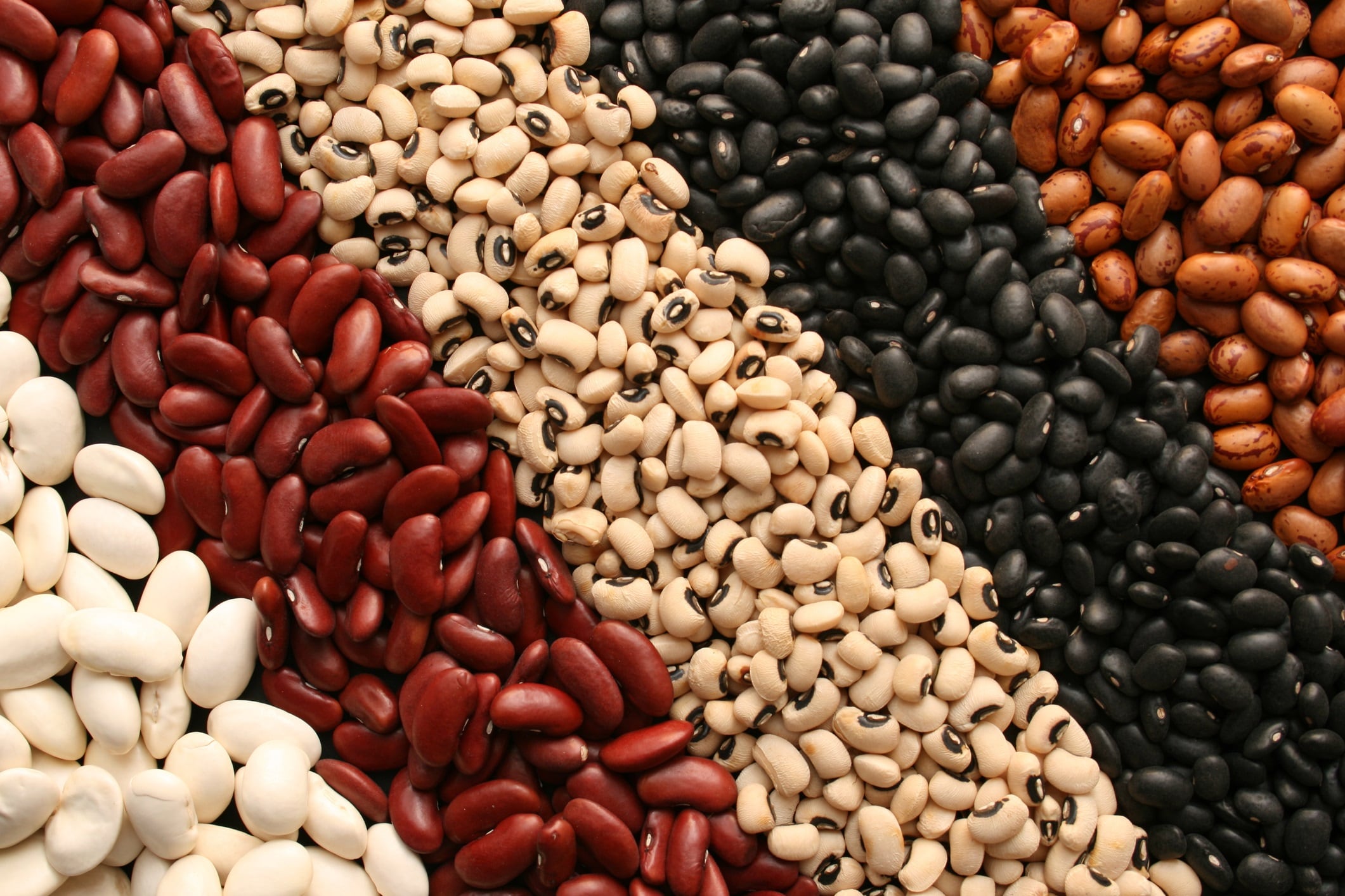 Diagonal stripes of brown shaded beans.
