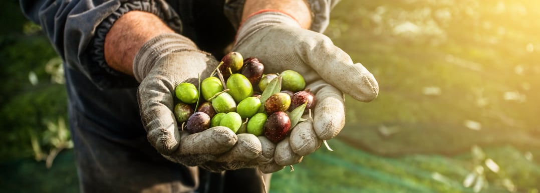 EU-regulations-for-sustainable-agriculture.jpg