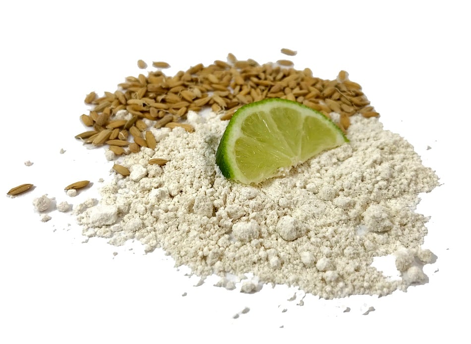 Paragon Pure unveils clean-label, cost-effective flavor carrier made from brown rice flour
