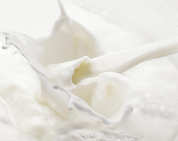 dairy-Chris-Ted-2.jpg