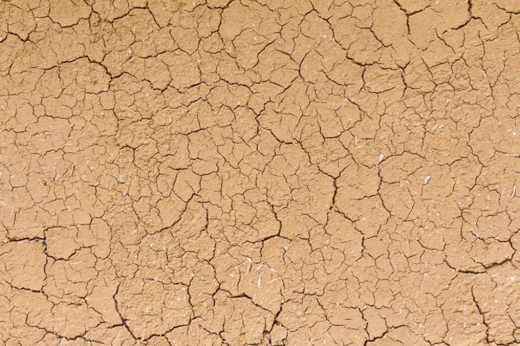 Water-crisis-causing-meat-processing-disruption.jpg