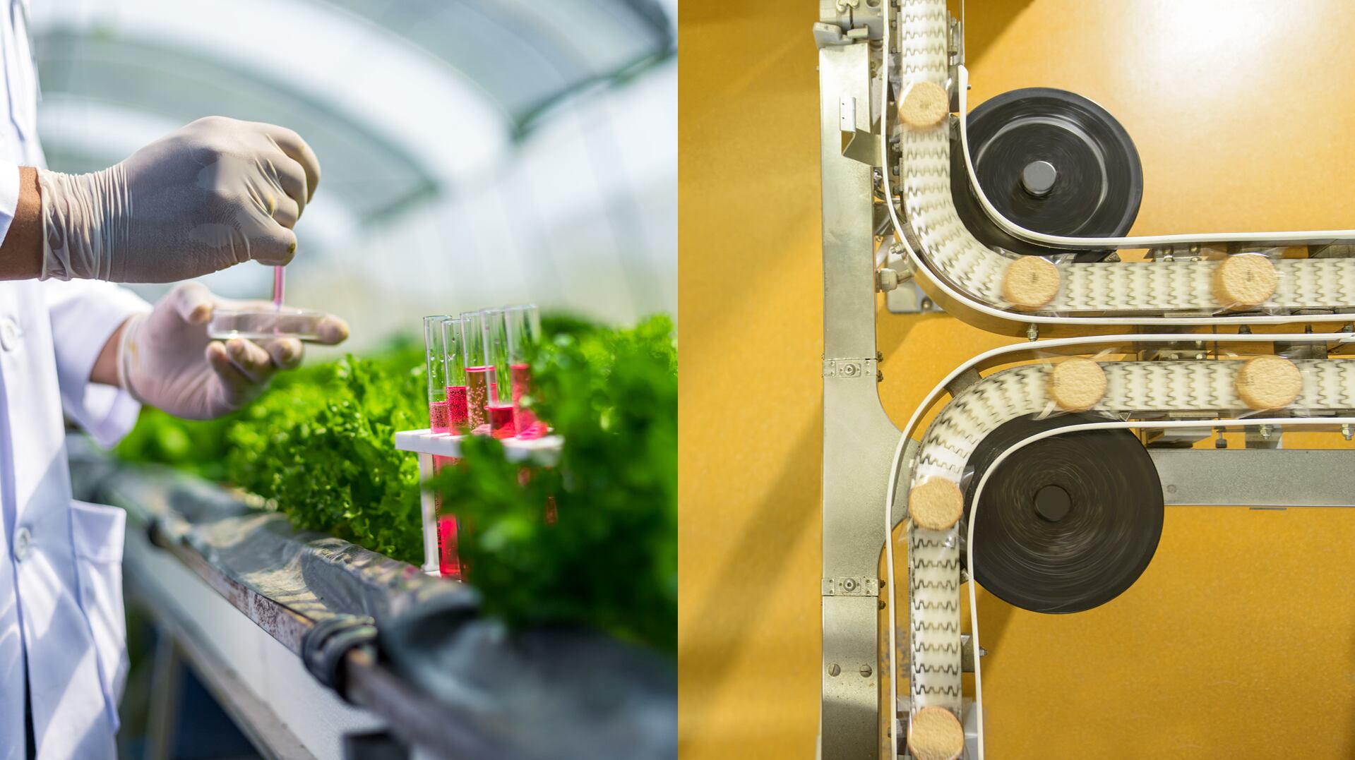 Why next gen alt protein startups will be built on access, not just science