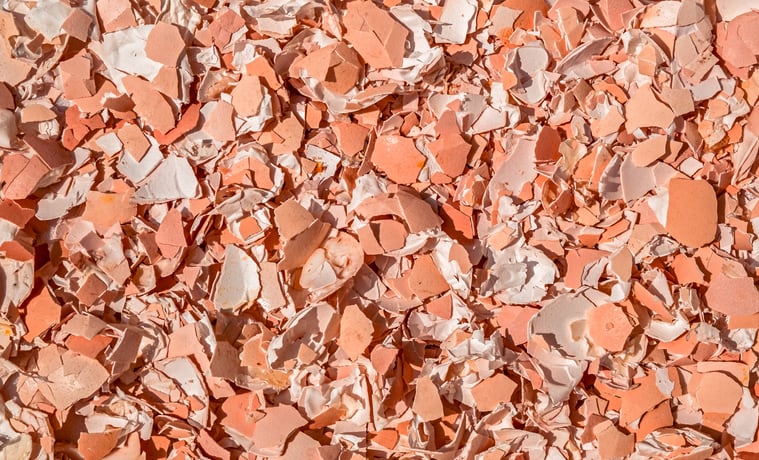 Eggshell membrane a 'high potential' ingredient for healthy boost 