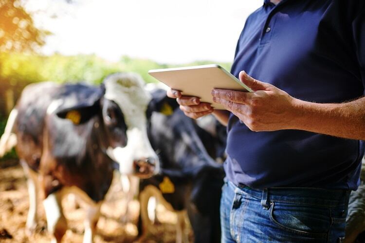 Yili is pushing boundaries in using technology to advance the dairy scene