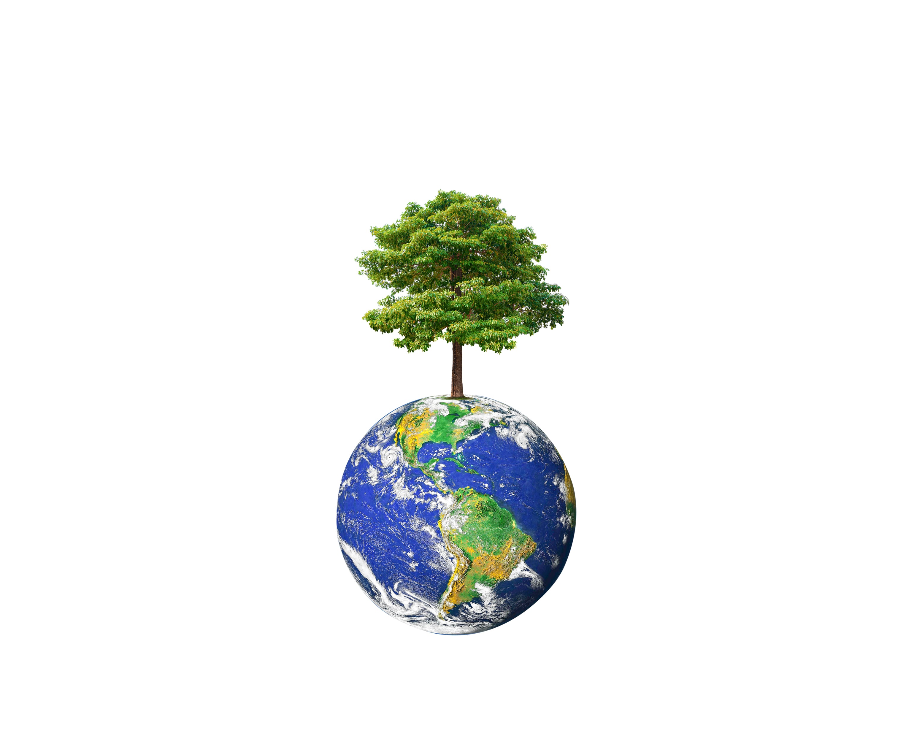How much deforestation do EUDR ‘high-risk’ countries actually have?