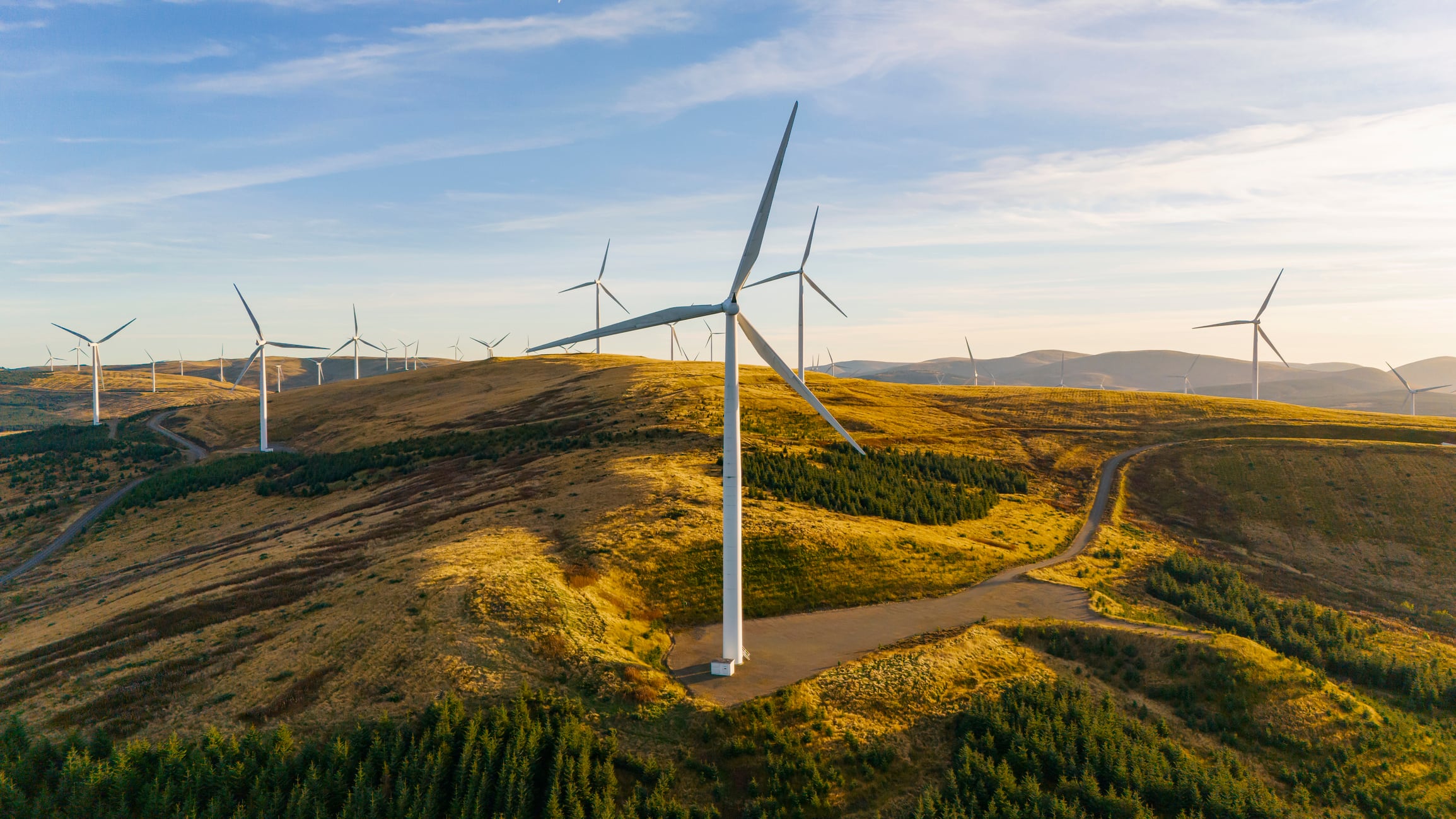 A wind farm