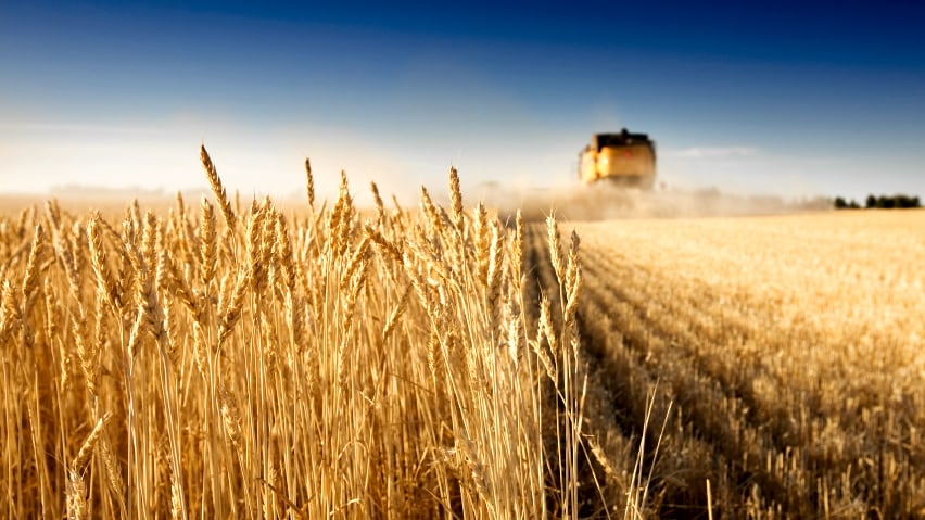 Graincorp.jpg