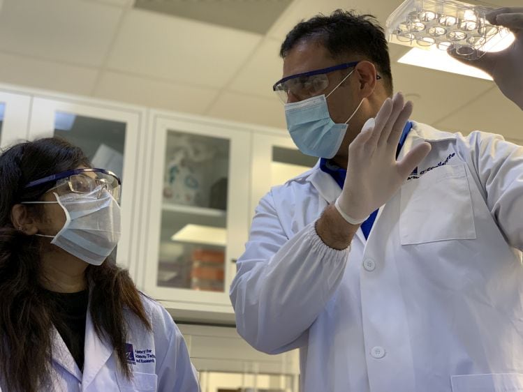TurtleTree-Labs-aims-to-produce-growth-factors-for-cell-cultured-meat-milk-at-fraction-of-price-of-pharma-grade-equivalents.jpg