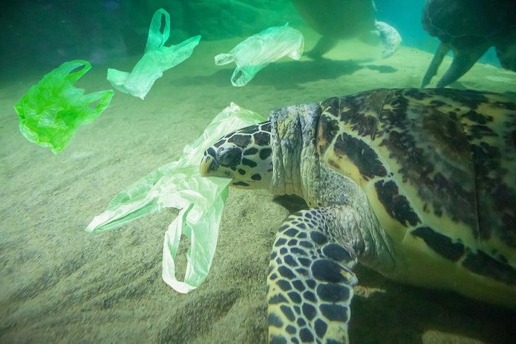 Plastic waste ‘state of play’ reveals just 9 countries have specific prevention targets