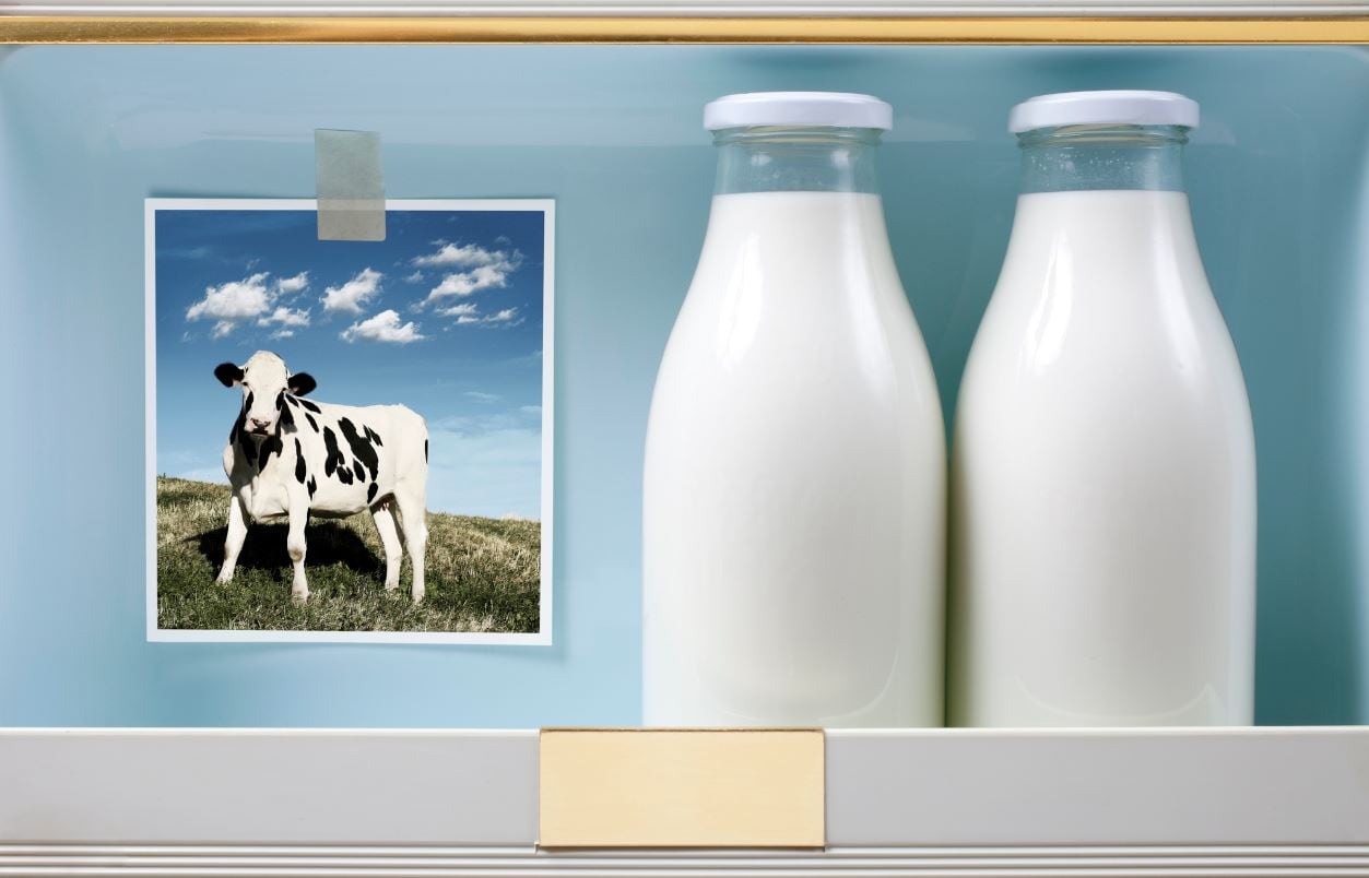 Welfare labelling and alt-meat investment recommended for EU food
