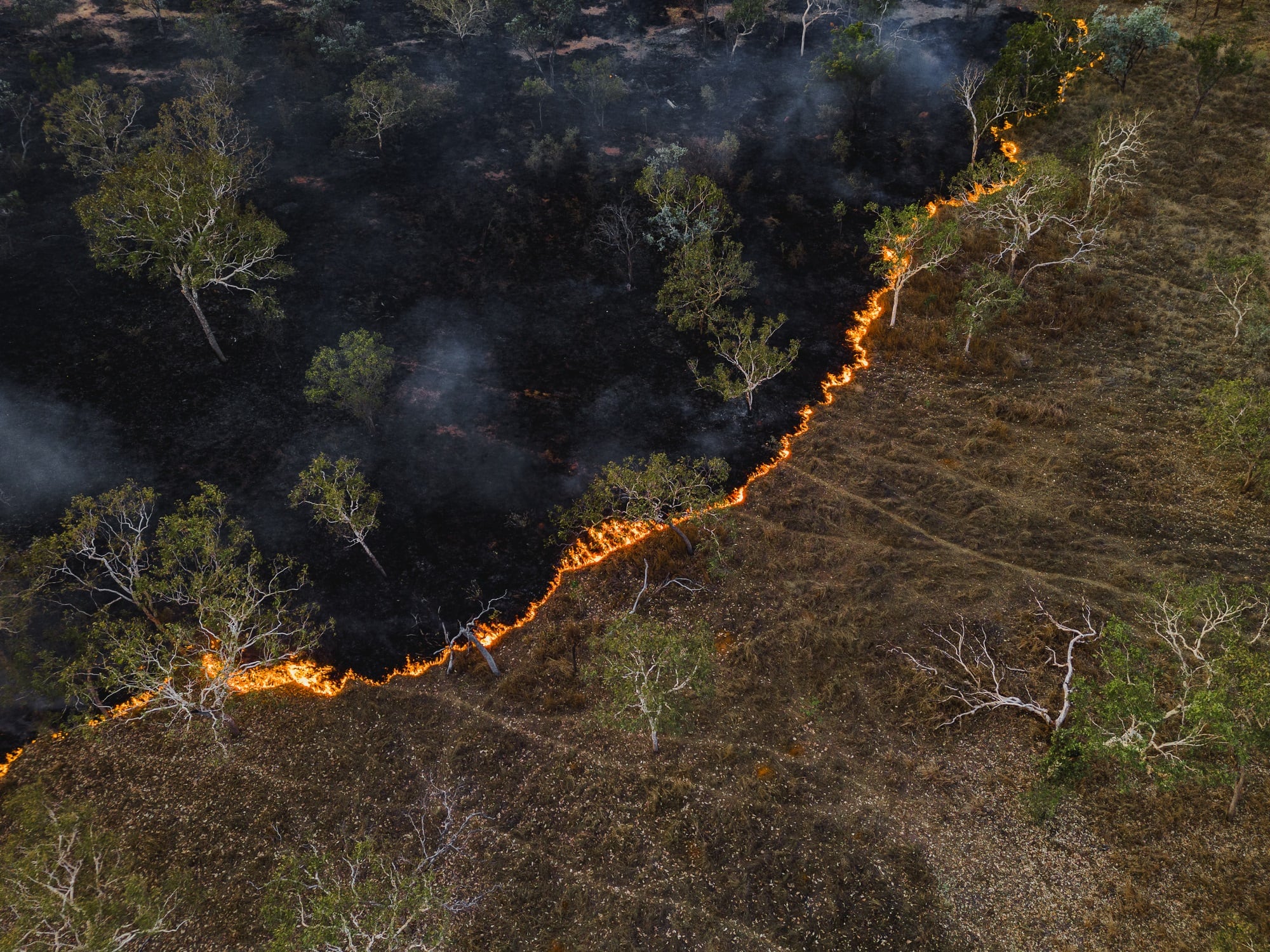 Aerial photo at the edge of a controlled fire in the Australian outback, Northern Territory, Australia