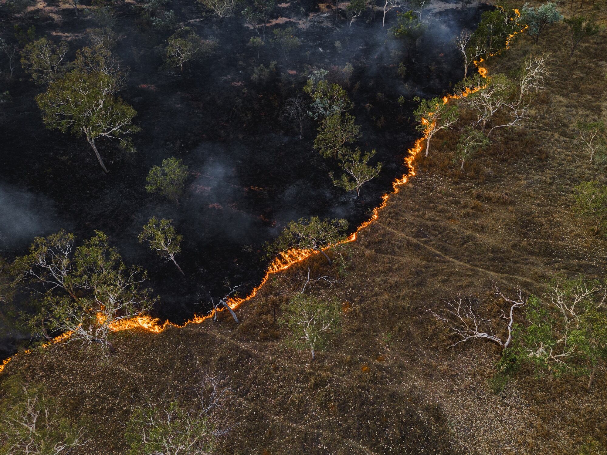 Aerial photo at the edge of a controlled fire in the Australian outback, Northern Territory, Australia