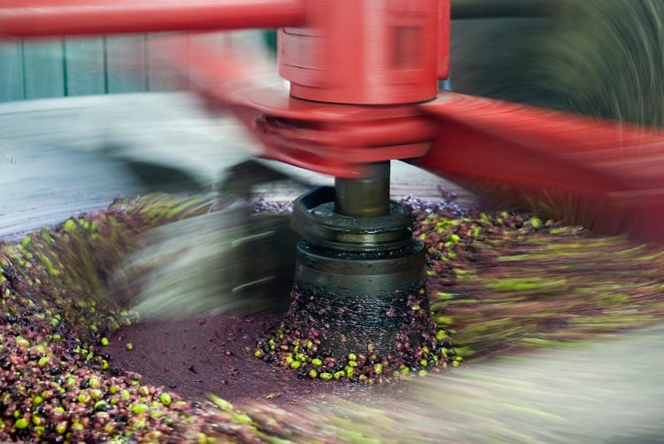 olive-oil-SurkovDimitri.jpg