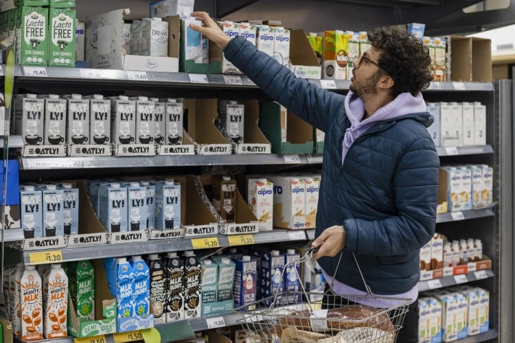 From animal welfare to health: What drives the adoption of milk alternatives?