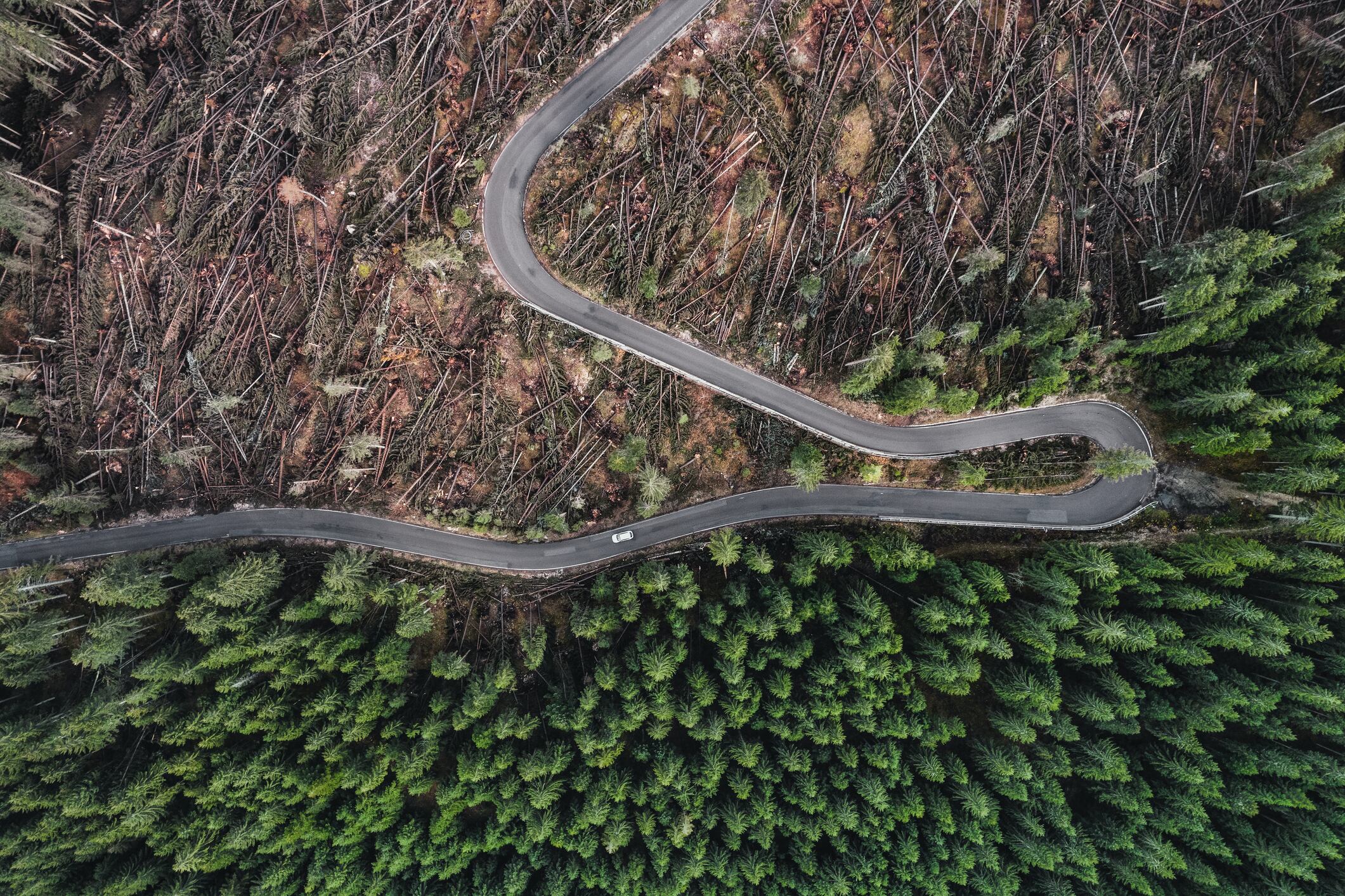 Aerial view of deforested landscape