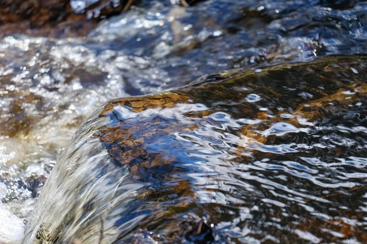 water-Schon.jpg