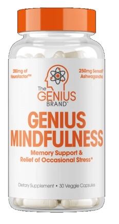 Mindfulness-supplement.jpg