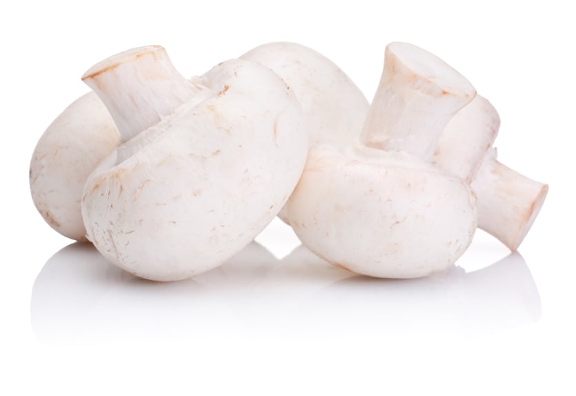 Mushrooms-may-exert-prebiotic-diabetic-risk-lowering-effect-suggests-study.jpg