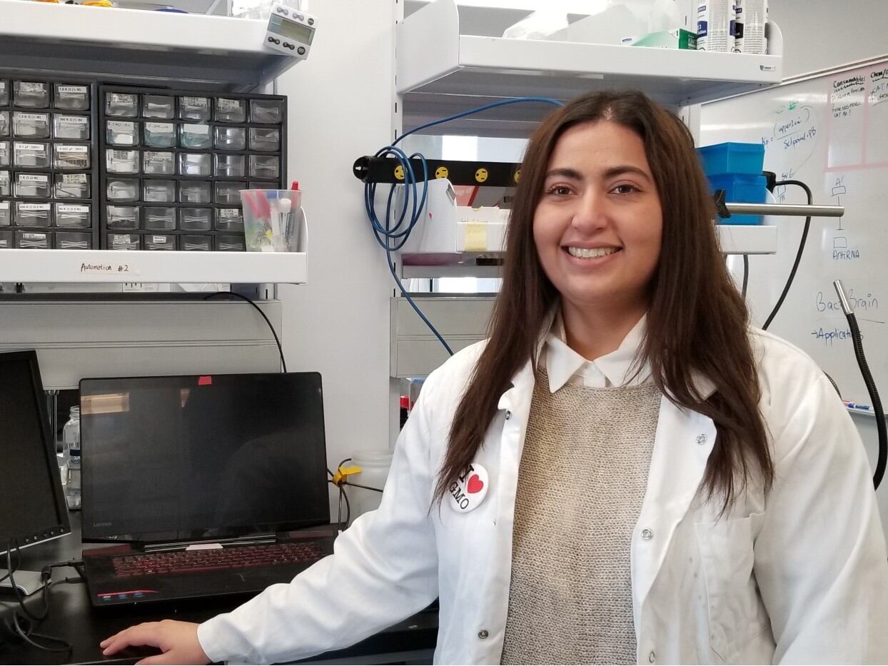 Paper-based biosensors detect rotten meat