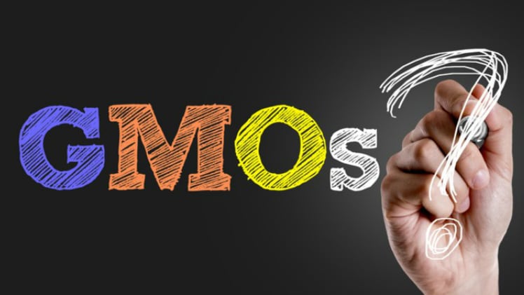 Biosafety governance: Thailand’s GMO regulation draft to cover full spectrum of plant, microorganism and animal products