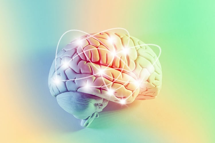 brain-PM-Images.jpg