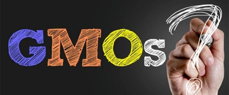 GMOsJapan GM foods update: Tighter labelling regulations issued for products with genetically modified components