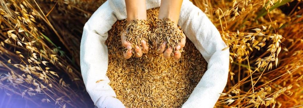 Oat-ingredients-for-functional-foods-sports-nutrition-and-meal-replacement.jpg