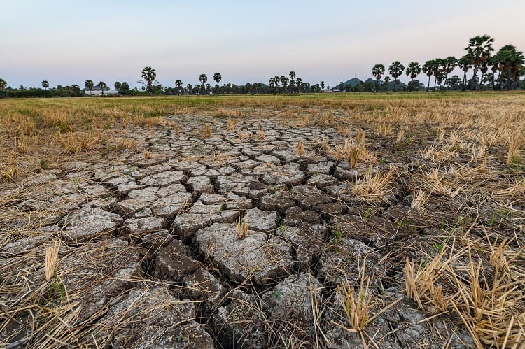 Dried out ground