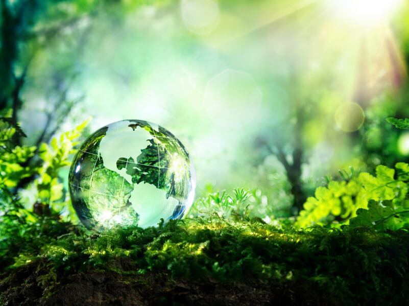 sustainability-eco-green.jpg