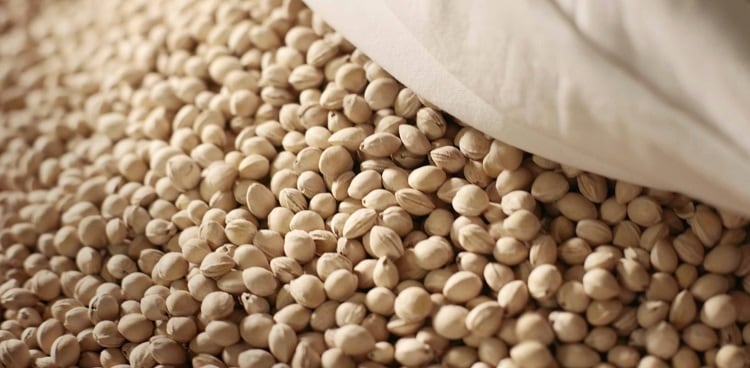 Are fruit seeds the ‘new nuts’? Meet the start-up upcycling fruit kernels into oil, flour, and alt milk