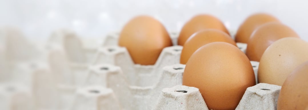Plant-based-solutions-for-egg-replacement-in-the-food-industry.png