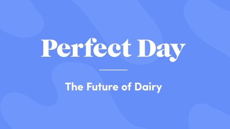 perfect-day-future.jpg