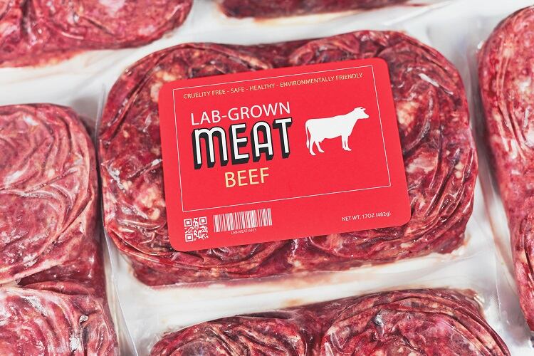 Bringing cultivated meat to Britain: What will it take to scale up?