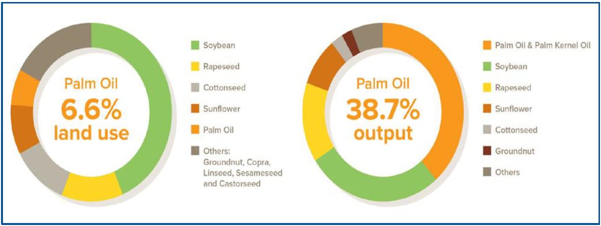 palm-oil-1.png