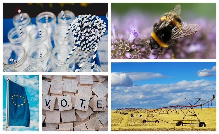 Controversial pesticides, single-use cutlery ban, GMOs and ‘dual quality’: A round-up of EU news & views