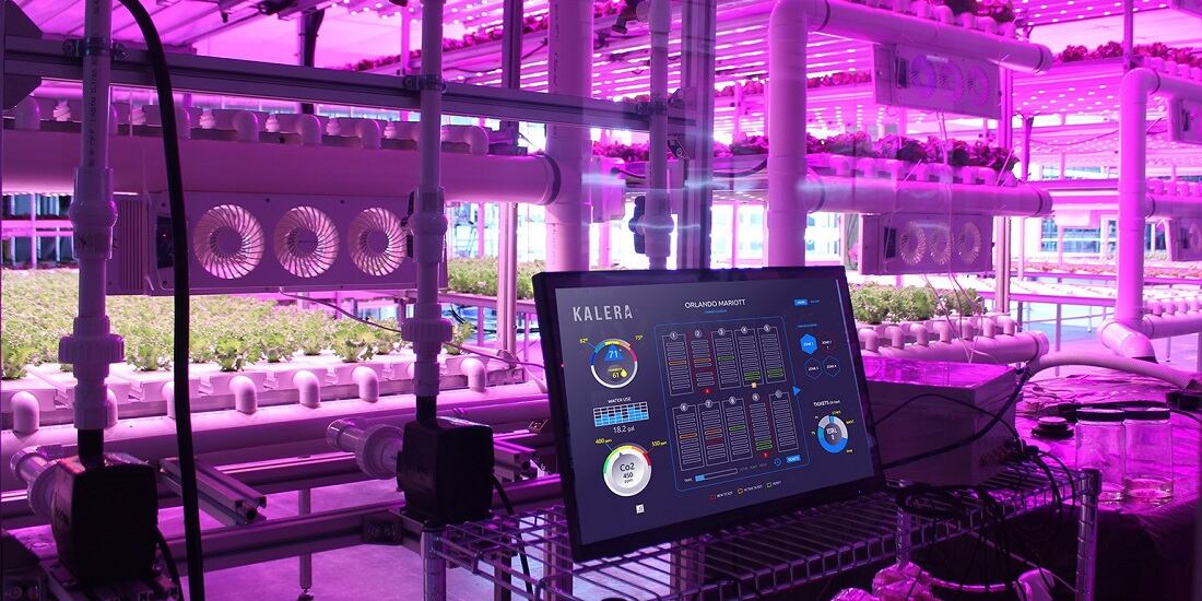 Kalera-ramps-up-indoor-vertical-farming-footprint-and-scale-in-2022.jpg