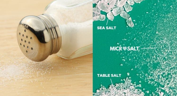 MicroSalt: When it comes to salt perception, size matters... 