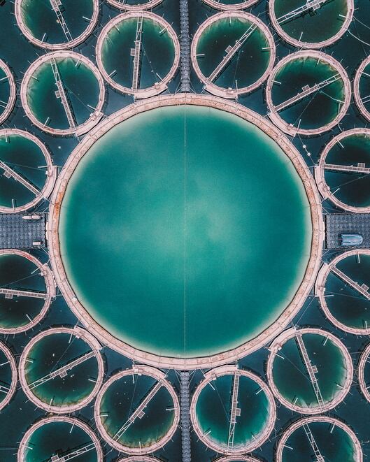 GettyImages-Abstract-Areal-Art-fish-farm-in-Germany.jpg
