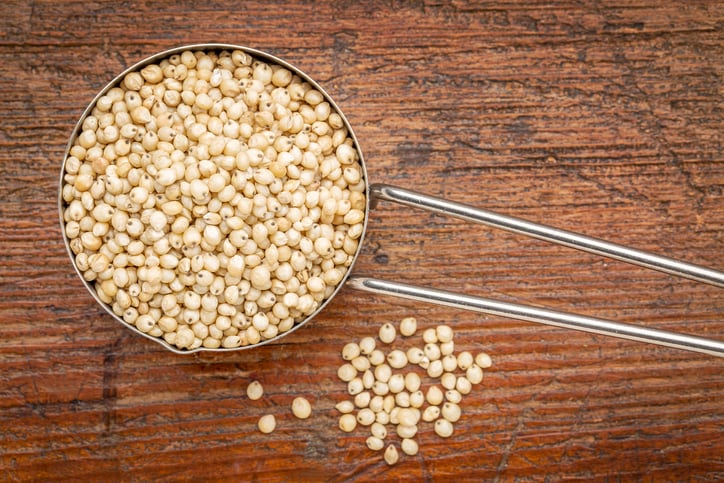 New-sorghum-varieties-beat-quinoa-for-protein-content-says-United-Sorghum.jpg