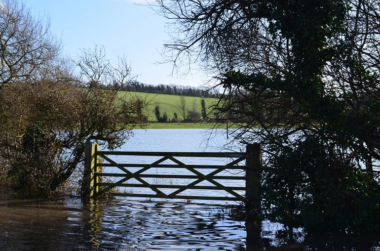 Flooded-farmland-GettyImages-bunsview.jpg