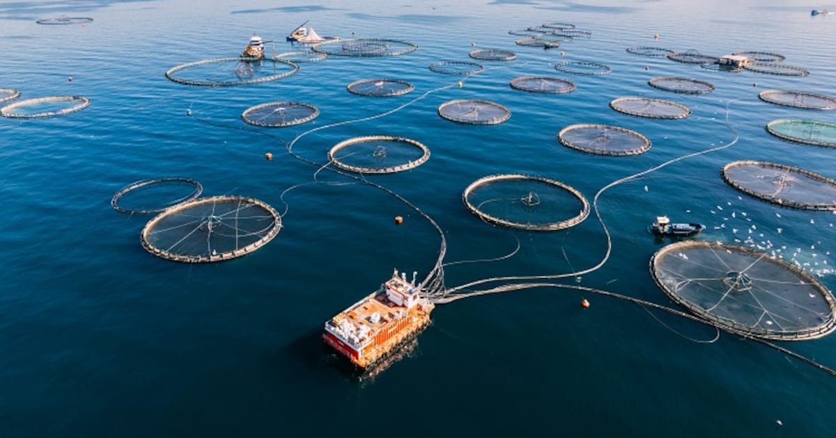 How sustainable is aquaculture?