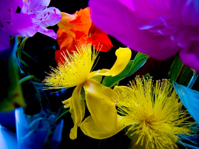 Top beverage flavour trends to watch in 2026