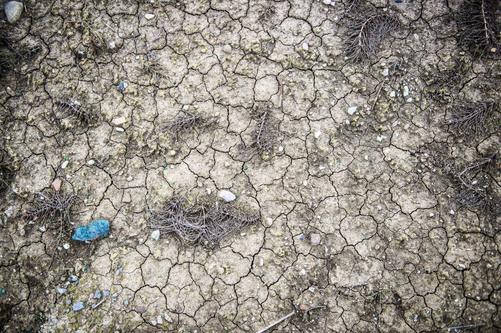 The great nutrient collapse is real, warns agronomist