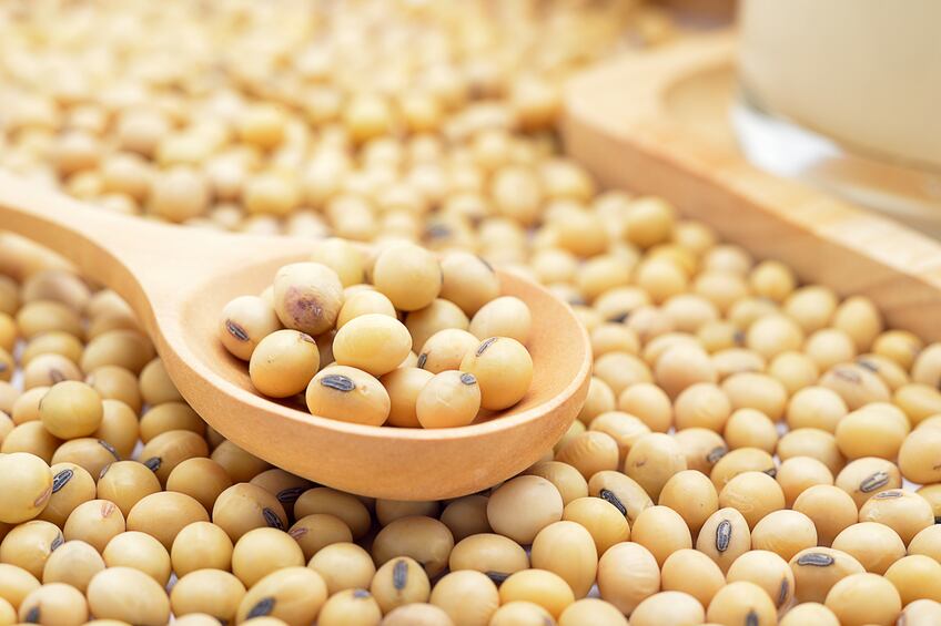 AAK secures ‘major foothold’ in speciality lecithin