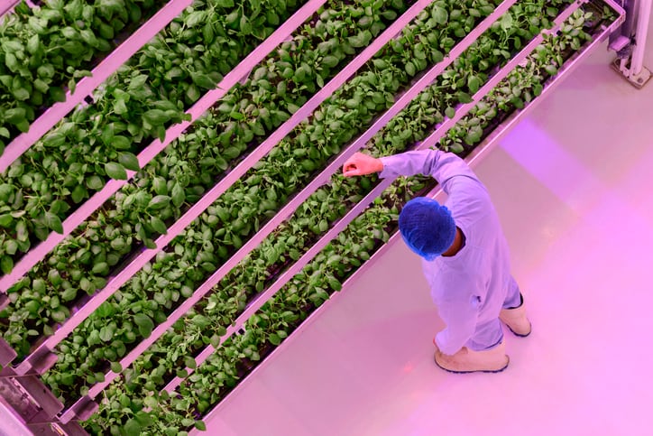 Ag tech experts call for solutions to bring down prohibitive upfront costs