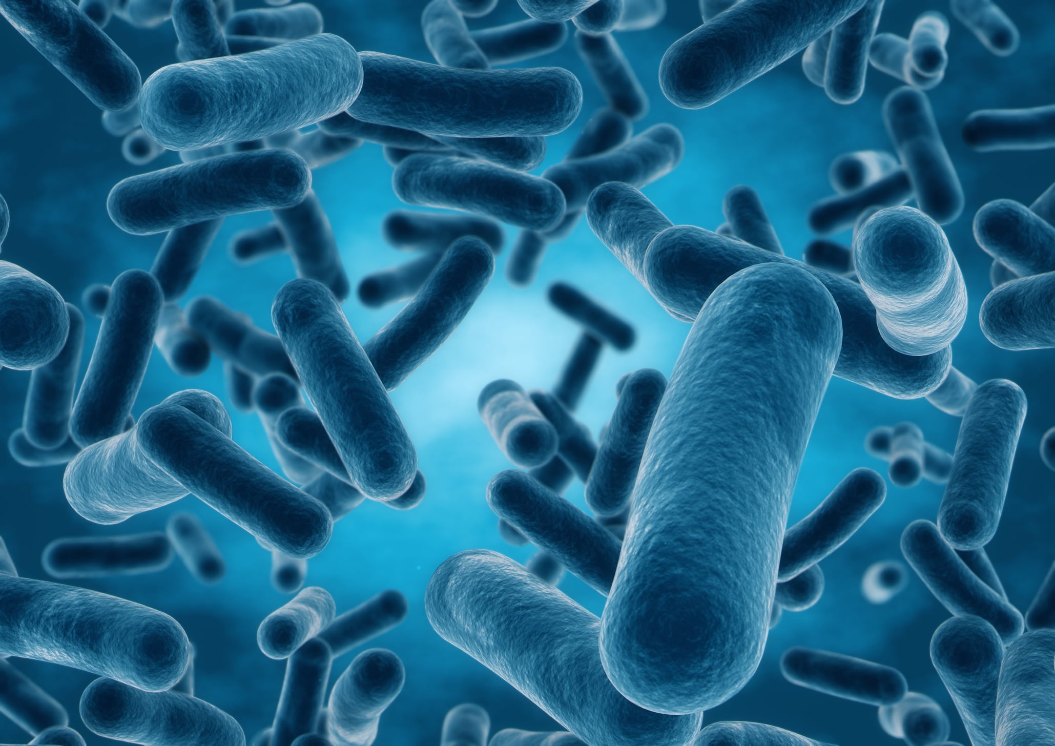 ANVISA issues guide for probiotic food applications