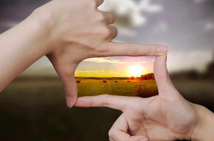 COVID-19 has ‘knocked’ green consumerism: Survey