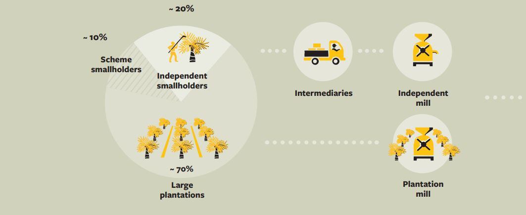 palm-oil-pic.jpg